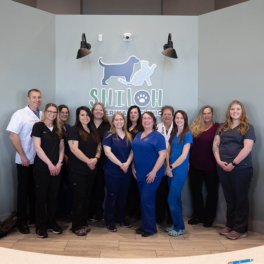 Meet Our Team- Shiloh Veterinary Clinic in Shiloh IL