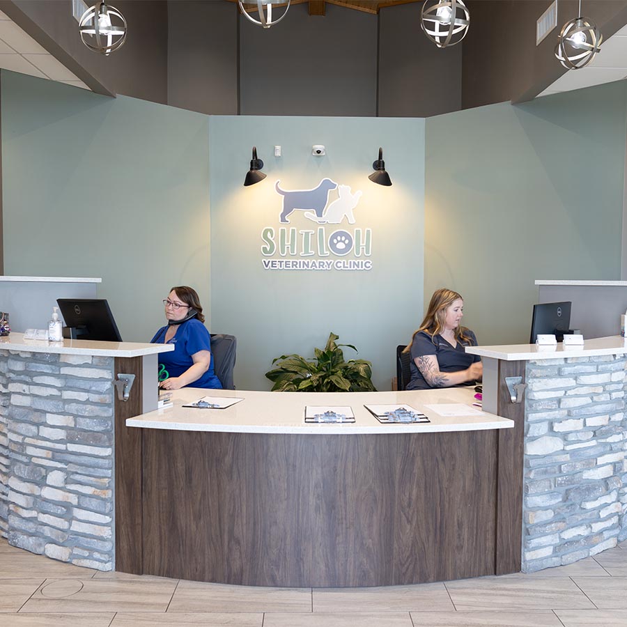 What to Expect- Shiloh Veterinary Clinic in Shiloh IL