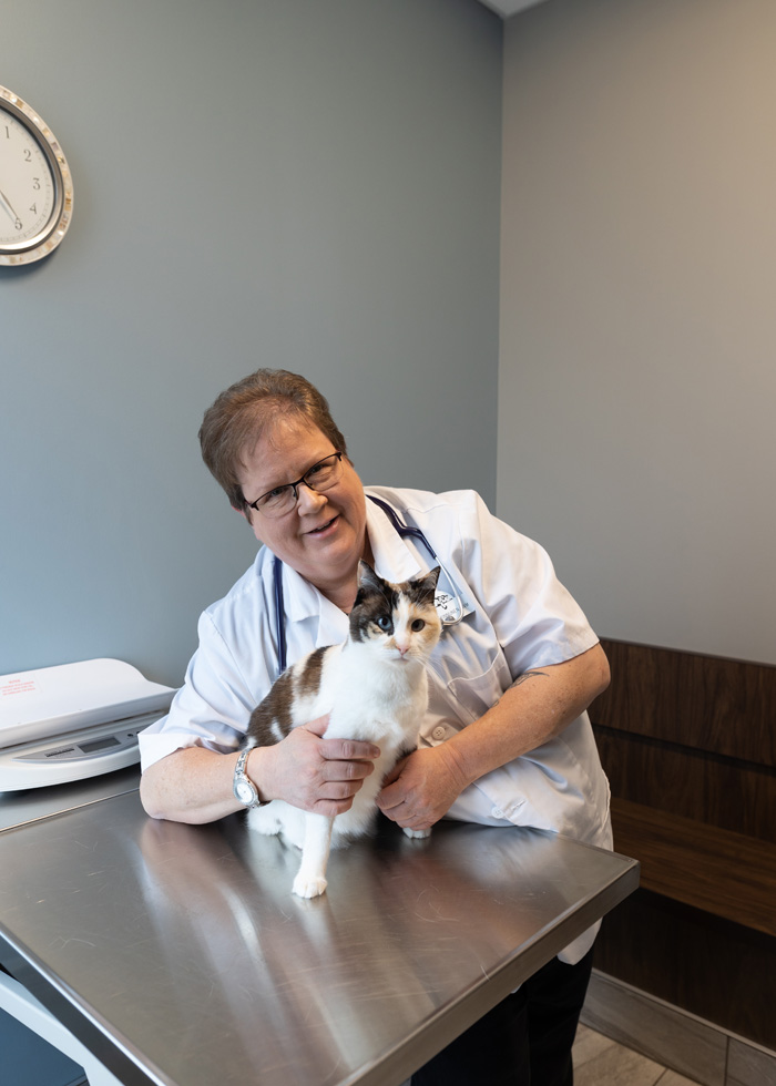 Dr. Alison Kinnunen, DVM Doctor of Veterinary Medicine at Shiloh Veterinary Clinic in Illinois