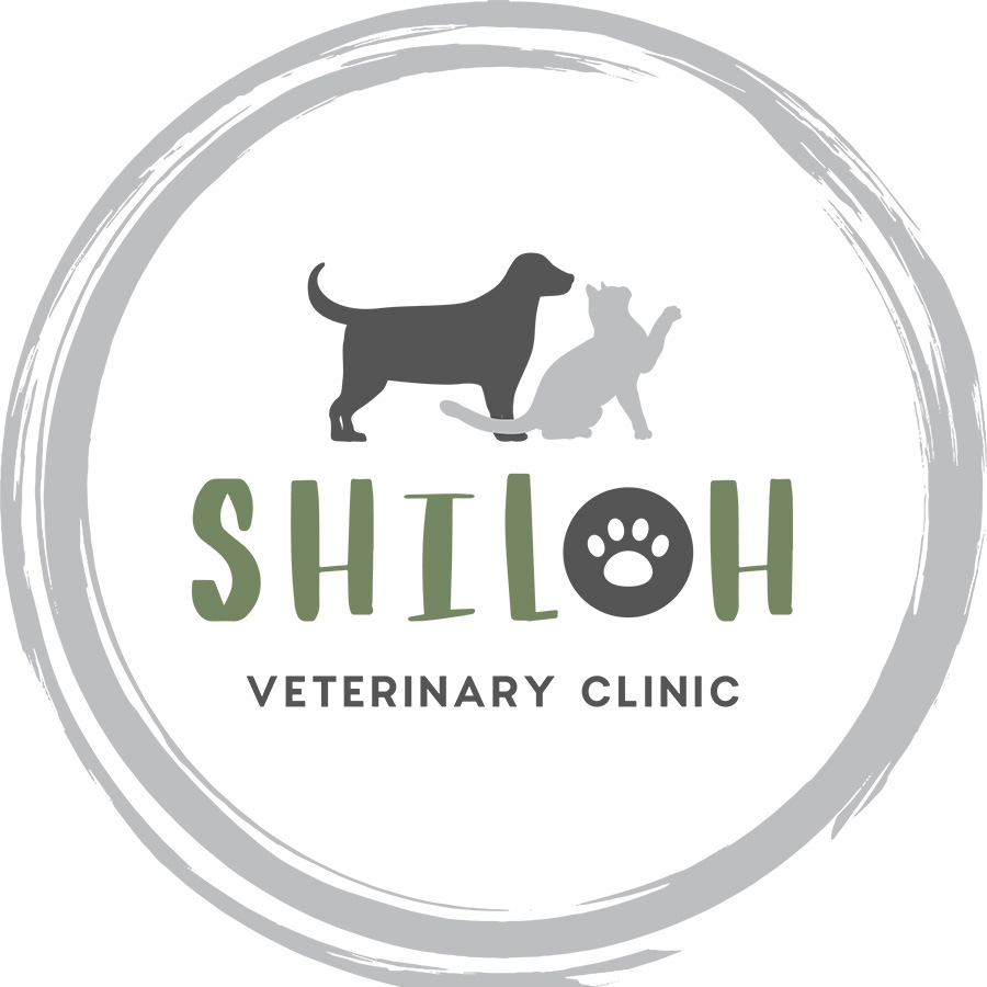No Show and Cancellation Policy- Shiloh Veterinary Clinic in Shiloh IL