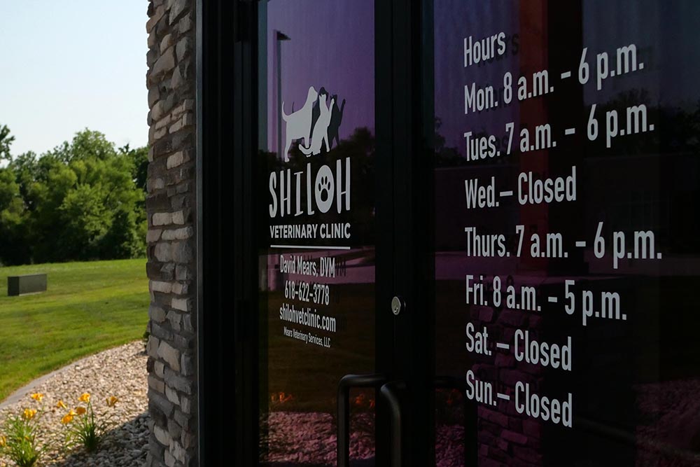 Services from Shiloh Vet Clinic in Shiloh, IL